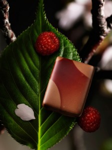 チョコレートの祭典「サロン・デュ・ショコラ」アワードで、日本のコヤマススムシェフ、吉田守秀シェフが受賞