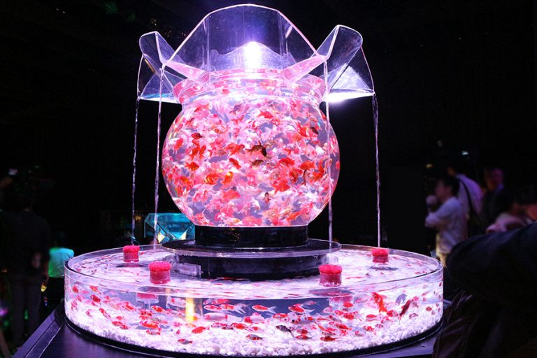 日本橋 金魚アート「アートアクアリウム」開幕！街中110店舗で楽しむ「金魚スイーツ&バルさんぽ」同時開催