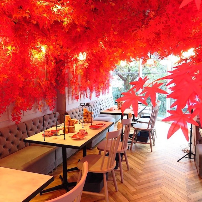 店内で紅葉狩り！見て食べて楽しい空間型アフタヌーンティ