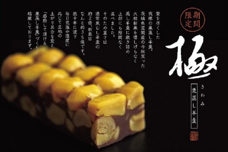 秋限定 和栗づくしの自家製蒸し羊羹　しもつけ彩風菓松屋 お取り寄せ