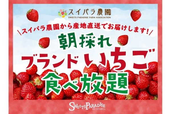 スイパラ「朝採れブランドいちご食べ放題 」が期間限定開催　コース限定メニューも必見