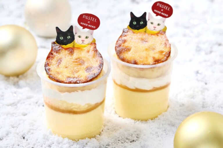 パステル初！『ふわふわシフォンプリン』をはじめ季節スイーツが新登場！ブラックフライデー限定プリンも！