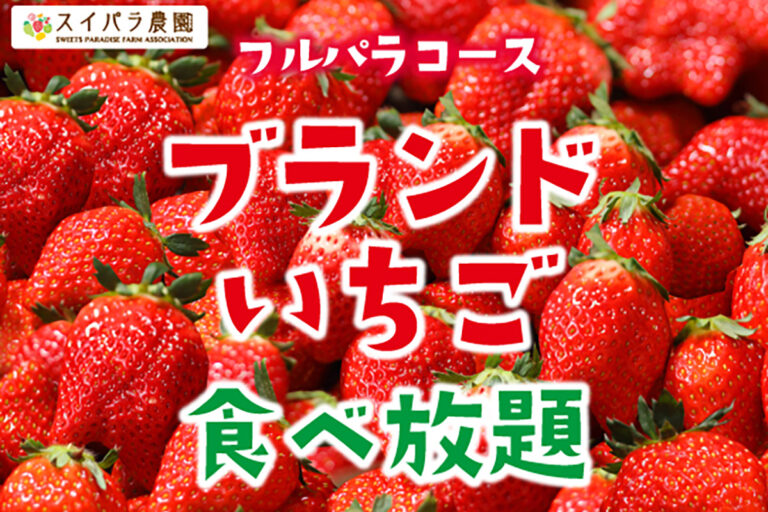 「スイパラでいちご狩り」旬の国産ブランドいちごが食べ放題！限定いちごスイーツも登場