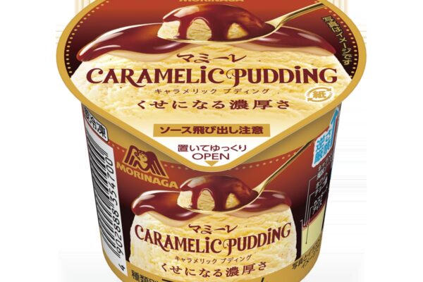 とろとろキャラメルソースの”つゆだく”アイス　マミーレ「キャラメリックプディング」